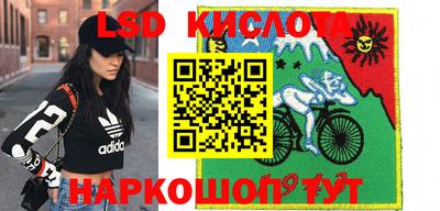 прущие грибы Донецк