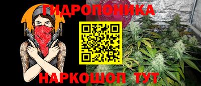прущие грибы Донецк